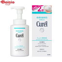 花王 Curel キュレル 潤浸保湿 泡洗顔料 大サイズボトル 300ml | 泡洗顔料 キュレル 花王 潤浸保湿 大容量 300ml ポンプ式 しっとり 敏感肌 乾燥肌 低刺激 無香料 無着色 アルコールフリー パラベンフリー