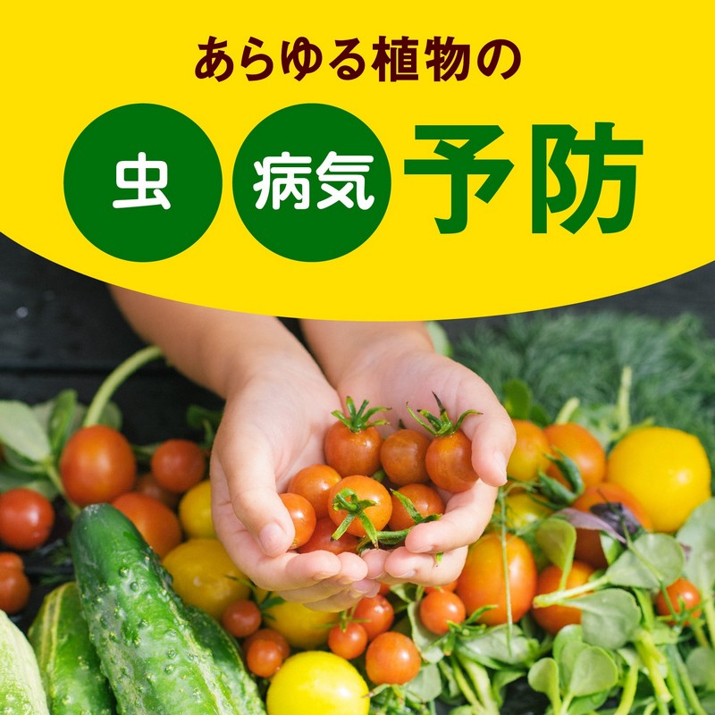 ���������� �����������ǥ� �䤵���� �����ѥå� 850ml | �䤵���� ���� ���� ͽ�� �����ѥå� ��� ���� ��ʪ ��� ��ʪ �� �����������ǥ� �����ڱ�