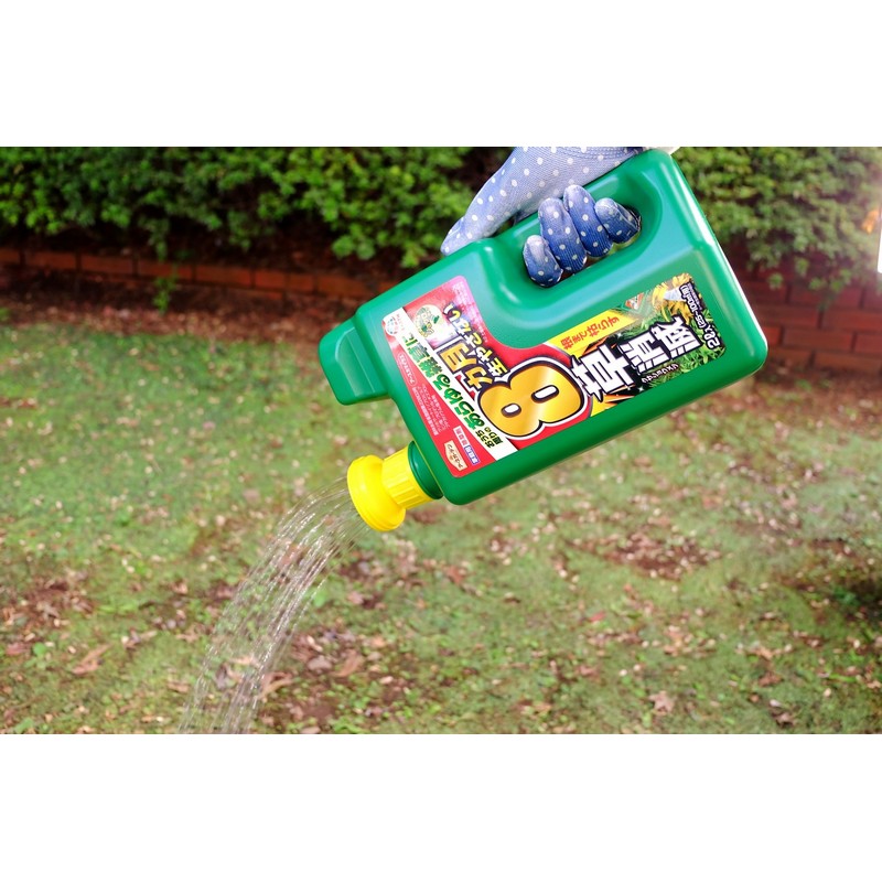 ���������� ���ݥ������ǥ� ���ޥ��饺���祦���إå� 2000ml | ����� ���祦�� ���ޥ��饺 �����������ǥ� ���� ���� �� �� �����к� ��־� ���� ����� �����ǥ˥� ��� ����