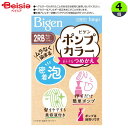 ホーユー ビゲン ポンプカラー つめかえ 2RB 明るいリッチブラウン 50ml×4個