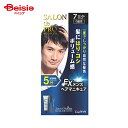 ダリヤ サロンドプロ EX メンズヘアマニキュア 7 ナチュラルブラック