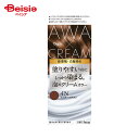 ホーユー ビゲン 泡クリームカラー 4N フォギーブラウン 207g
