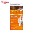 ホーユー シエロヘアカラーEXミルキー1