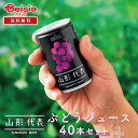 【8/1限定★ポイント10倍】 サン&リブ 山形代表 ぶどうジュース40本/(160g×20本)×2箱 | 山形県産 国産 ぶどうジュース 160g 40本 ス...