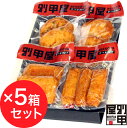 【D 真空パック4Pセット×5箱セット】 クール便発送 本場 鹿児島 産地直送 かまぼこ 練り物 おでん 送料無料 鍋 ふるさと さつまあげ つけあげ 大盛 大...