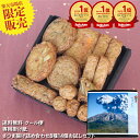 ★ポイント3倍(7/13 10:00〜7/15 23:59)★【新お試しセット SAKURAJIMA 〜桜島〜】 クール便発送 送料無料 おためし さつま揚げ ...