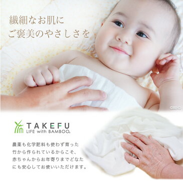 【送料無料】【3枚組】TAKEFU 竹布 ガーゼ 洗顔クロス 3枚組 サービスプラン(メール便送料無料)(開封後返品不可商品)ナファ生活研究所 抗菌 敏感肌 アトピー 無農薬 オーガニック 肌にやさしい 天然繊維 竹繊維 ナファ たけふ タケフ