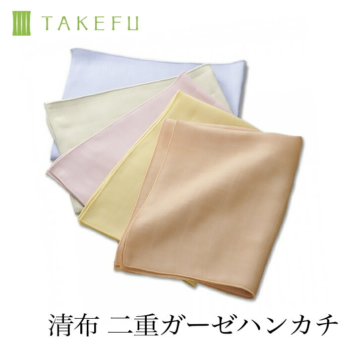 【送料無料】【2枚組】TAKEFU 清布（すがし布）二重ガーゼハンカチ 2枚組サービスプラン（メール便送料無料）ナファ ナファ生活研究所 抗菌 敏感肌 アトピー 無農薬 オーガニック 肌にやさしい 天然繊維 竹繊維