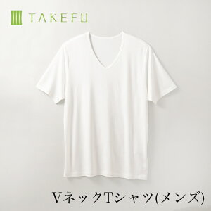 【送料無料】TAKEFU 竹布 VネックTシャツ（メンズ）サービスプラン（メール便送料無料）（開封後返品不可商品）ナファ生活研究所 抗菌 敏感肌 アトピー 無農薬 オーガニック 肌にやさしい 天然繊維 竹繊維 たけふ タケフ メンズ Tシャツ ナファ