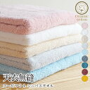 【送料無料】天衣無縫 スーピマ24 ミニバスタオル (約50cm×100cm)(メール便使用)(開封後返品不可商品)オーガニックコットン オーガニックコットンタオル タオル 敏感肌 天然繊維 肌にやさしい 売れ筋