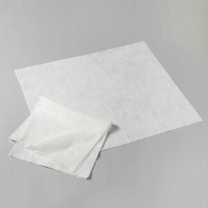 【3セット組み】【送料無料】TAKEFU 竹布 デイリーサポートシート ミニキット(おりものシート、ライナーとしても最適) 天然 竹原料100% 不織布 TAKEFU 竹布 天然竹由来(メール便使用)肌荒れ防止 サステナブル 生分解性100% 抗菌 保湿 フェムケア 温活 妊活 PMS 生理