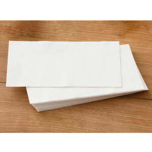 【3セット組み】【送料無料】TAKEFU 竹布 デイリーサポートシート ミニキット(おりものシート、ライナーとしても最適) 天然 竹原料100% 不織布 TAKEFU 竹布 天然竹由来(メール便使用)肌荒れ防止 サステナブル 生分解性100% 抗菌 保湿 フェムケア 温活 妊活 PMS 生理