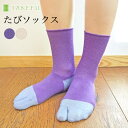 【送料無料】TAKEFU 竹布 たびソックス(メール便送料無料)(開封後返品不可商品)ナファ ナファ生活研究所 足袋 タビ 消臭 抗菌 敏感肌 アトピー 無農薬 オーガニック 肌にやさしい 天然繊維 竹繊維 たけふ タケフ 靴下 くつ下 ソックス 紫 肌色 パープル ベージュ