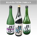 【丸一酒造】ほしいずみ720ml 3本セット純米大吟醸 辛口