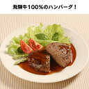 お歳暮 肉 ギフト 早割 飛騨牛 ハンバーグ ギフト 8個セット A5 A4 [送料無料] | 肉 結婚祝い 出産祝い 内祝い お返し プレゼント 出産 結婚 贈り物 ペア 松阪牛 松坂牛 神戸牛 米沢牛 近江牛 あす楽 ご褒美 贅沢 2