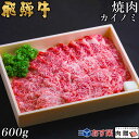 飛騨牛 焼肉 カイノミ 600g 3～5人前用 A5 A4 [送料無料] | 和牛 牛肉 焼肉 鍋 結婚内祝い 出産祝い 内祝い お返し ギフト用 ヒレ 誕生日 プレゼント