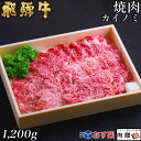 飛騨牛 焼肉 カイノミ 1,200g 1.2kg 6～9人前用 A5 A4 [送料無料] | 和牛 牛肉 焼肉 鍋 結婚内祝い 出産祝い 内祝い お返し ギフト用 ヒレ 誕生日 プレゼント