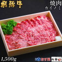 飛騨牛 焼肉 カイノミ 1,500g 1.5kg 8～10人前用 A5 A4 [送料無料] | 和牛 牛肉 焼肉 鍋 結婚内祝い 出産祝い 内祝い お返し ギフト用 ヒレ 誕生日 プレゼント