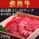 飛騨牛 焼肉 シンシン 700g 4～5人前用 A5 A4 [送料無料] | 和牛 牛肉 焼肉 鍋 結婚内祝い 出産祝い 内祝い お返し ギフト用 シンシン 誕生日 プレゼント