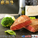 お歳暮 肉 ギフト 早割 飛騨牛 ヒレ ステーキ 1,700g 1.7kg A5 A4 (100g × 17枚) [送料無料] | 肉 黒毛 和牛 岐阜県 ギフトセット 肉 牛肉 結婚祝い 出産祝い 内祝い お返し