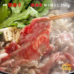 お歳暮 肉 ギフト 早割 松阪牛 切り落とし ギフト 400g [送料無料] |プレゼント 松坂牛 牛肉 和牛 赤身 すき焼き しゃぶしゃぶ 焼肉 ギフト セット A5 お試し 肉 食品 内祝い お返し おためし 赤身 国産牛 福袋