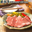 飛騨牛 まだ間に合う 母の日 プレゼント 飛騨牛 焼肉 ギフト 特上 霜降り&赤身 食べ比べ セット 400g A5 A4 [送料無料] | 肉 黒毛和牛 焼肉 牛肉 結婚祝い 出産祝い 内祝い 敬老の日 肉 ギフト券 商品券 カタログ 目録 赤身