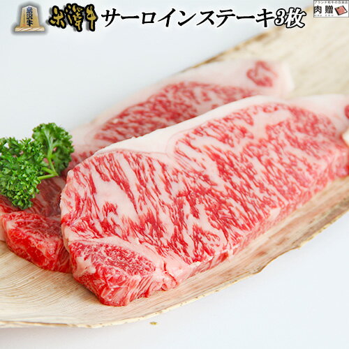 米沢牛 ギフト サーロイン ステーキ 600g (200g×3枚) A5 A4 [送料無料] | 肉 霜降り 赤身 ロース 贈答用 グルメ 食品…