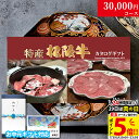 【最高級】カタログギフト 肉 ギフト 特産松阪牛 3万円 TA コース 6商品から選べる♪ 結婚祝い 出産祝い 内祝い お返し グルメ 新築祝い プレゼント おしゃれ 友人 お肉 但馬牛 ギフトセット 和牛 牛肉 食べ物 誕生日 景品 ギフト券 すき焼き A5 ステーキ 退職祝い