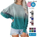 カットソー 長袖 Tシャツ レディース 女性 トップス 婦人服 ロングTシャツ ラウンドネック 丸首 ラグランスリーブ ツートン グラデーションカラー