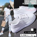 10倍ポイント!厚底スニーカー レディース ダッドシューズ ローカット 厚底 歩きやすい カジュアル 靴 スポーツ 履きやすい シューズ プラットフォーム 通学 脚長(4)