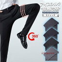 スラックス メンズ スリムパンツ クールビズ ビジネス 薄手 細身 春夏秋 ボトムス 男性 ストレッチパンツ カジュアル ウォッシャブル 紳士パンツ