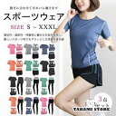 スポーツウェア レディース ヨガウェア 上下セット 3点セット 2タイプ おしゃれ Tシャツ スポーツパンツ スポーツブラ レギンス 吸汗 速乾 フィットネス ジム