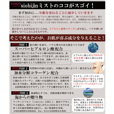 お買い物マラソン連動15%OFF★お得な2本セット!炭酸化粧水炭酸ミスト大容量125g/1本当たりTANSANsiobijinMIST塩美人/しおびじん/シオビジンスプレープレゼント用/ギフト用エステスキンケアスカルプケアボディケア