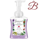 ミューズ 泡ハンドソープ ボタニカル 本体 ボトル 250mL(4)