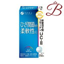 ファイン 非変性活性 II型コラーゲン UC-II 250粒