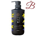 クラシエ いち髪 カラーケア&ベーストリートメント in コンディショナー ポンプ 480ml