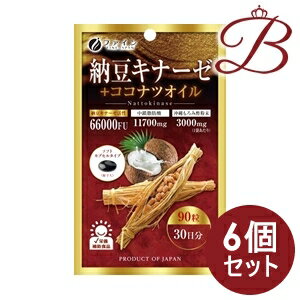 【×6個】ファイン 納豆キナーゼ＋ココナツオイル 90粒