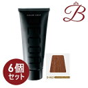 【×6個】イリヤ カラーコートデコレ (D-HL2) ハイライトマロンブラウン 160g