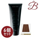 【×6個】イリヤ カラーコートデコレ (D-L2) ライトマロンブラウン 160g