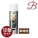 【×12個】イリヤ ヘアカラースプレー Si (茶褐色) 120g