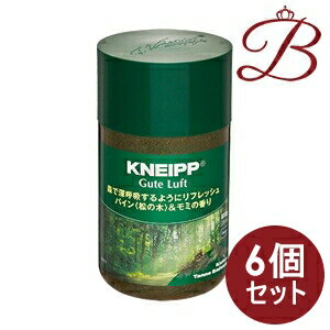 【×6個】クナイプ グーテルフト パイン&モミの香り 850g