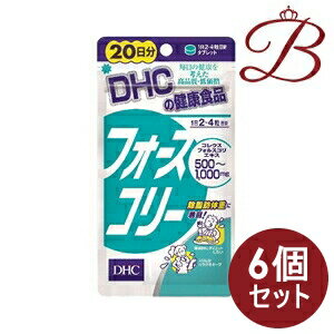 【×6個】DHC フォースコリー 80粒 (20日分)