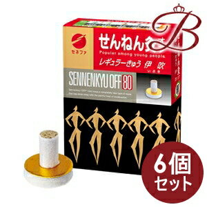 【×6個】せんねん灸 オフ レギュラーきゅう 伊吹 80点