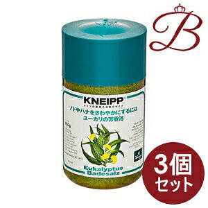 【×3個】クナイプ バスソルト ユーカリの香り 850g