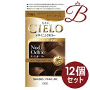 【×12個】ホーユー シエロ デザイニングカラー ヌーディオークル