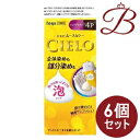 【×6個】ホーユー シエロ ムースカラー 4P ピュアブラウン