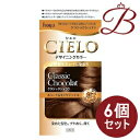 【×6個】ホーユー シエロ デザイニングカラー クラシックショコラ
