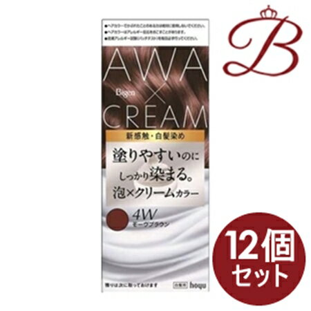 【×12個セット】ビゲン　泡クリームカラー　モーヴブラウン　 50g+40g+5mL