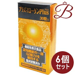 ڡ6ġۥץ饺ޥ Plus 30γ