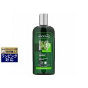ロゴナ レモンバーム シャンプー(オイリー・センシティブ) 250ml | 日本未発売 激安 LOGONA シャンプー
